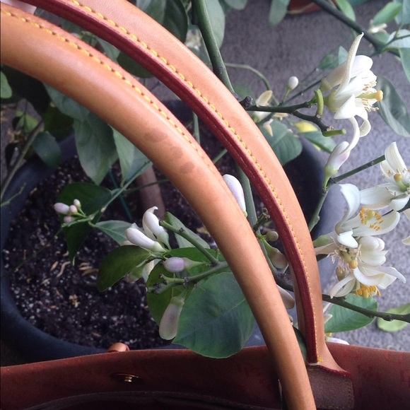 Dooney and Bourke Canvas And Pebble Leather XLTote - Picture 8 of 8